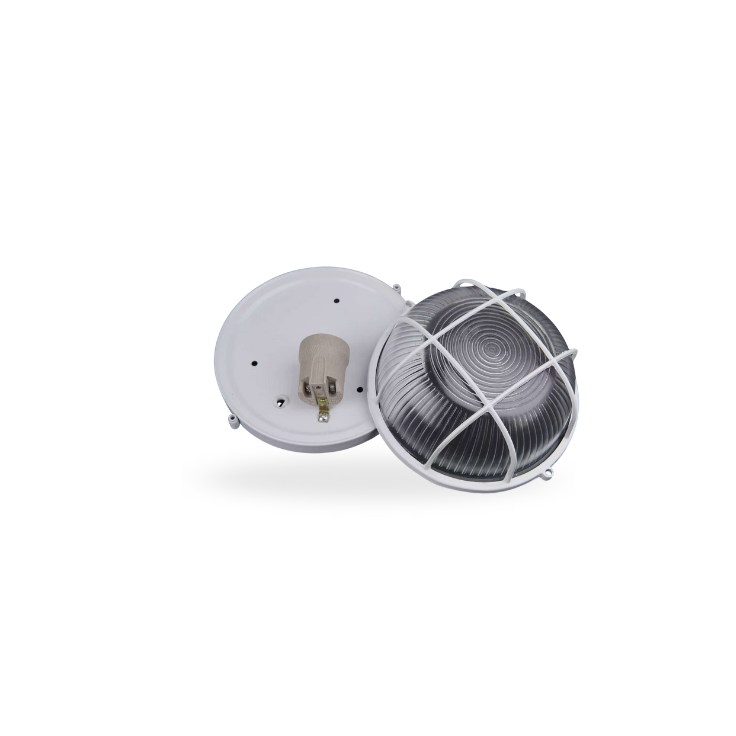 Tortuga LED Redondo con portafocos