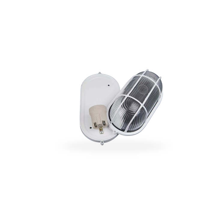 Tortuga LED Oval con portafocos