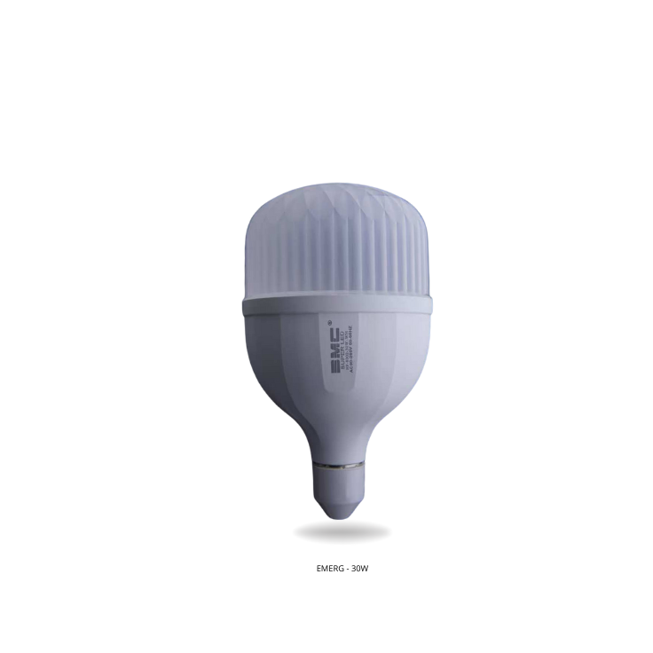 Foco Led Emergencia 30W Recargable